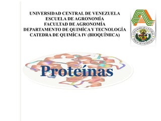 UNIVERSIDAD CENTRAL DE VENEZUELA
        ESCUELA DE AGRONOMÍA
       FACULTAD DE AGRONOMÍA
DEPARTAMENTO DE QUIMÍCA Y TECNOLOGÍA
  CATEDRA DE QUIMÍCA IV (BIOQUÍMICA)




     Proteínas
 
