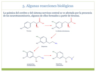 La química del cerebro y del sistema nervioso central se ve afectada por la presencia
de los neurotransmisores, algunos de ellos formados a partir de tirosina.
5. Algunas reacciones biológicas
NH2
O
OH
HO
HO
NH2
HO
O
OH
NH2
HO
HO
HO
OH
NH2
HO
Tirosina 3,4-dihidroxifenilalanina
Dopamina
Epinefrina
(Adrenalina)
HO
OH
N
H
HO
norepinefrina
(Noradrenalina
 