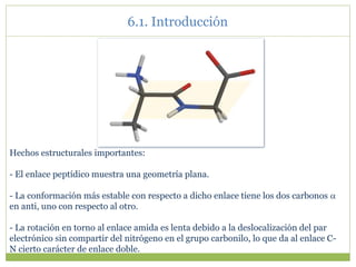 Hechos estructurales importantes:
- El enlace peptídico muestra una geometría plana.
- La conformación más estable con respecto a dicho enlace tiene los dos carbonos 
en anti, uno con respecto al otro.
- La rotación en torno al enlace amida es lenta debido a la deslocalización del par
electrónico sin compartir del nitrógeno en el grupo carbonilo, lo que da al enlace C-
N cierto carácter de enlace doble.
6.1. Introducción
 
