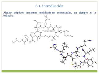 Algunos péptidos presentan modificaciones estructurales, un ejemplo es la
oxitocina.
6.1. Introducción
 