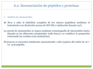 1. Análisis de aminoácidos.
Se lleva a cabo la hidrólisis completa de los enlaces peptídicos mediante el
tratamiento con disolución acuosa de HCl 6M y calefacción durante 24 h.
La mezcla de aminoácidos se separa mediante cromatografía de intercambio iónico
(basada en las diferentes propiedades ácido-base) y se establece la proporción
coloreando los residuos (con ninhydrina).
El proceso se encuentra totalmente automatizado y sólo requiere del orden de 10-5-
10-7 g de péptido.
6.2. Secuenciación de péptidos y proteínas
 