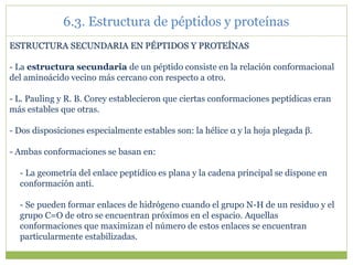 ESTRUCTURA SECUNDARIA EN PÉPTIDOS Y PROTEÍNAS
- La estructura secundaria de un péptido consiste en la relación conformacional
del aminoácido vecino más cercano con respecto a otro.
- L. Pauling y R. B. Corey establecieron que ciertas conformaciones peptídicas eran
más estables que otras.
- Dos disposiciones especialmente estables son: la hélice α y la hoja plegada β.
- Ambas conformaciones se basan en:
- La geometría del enlace peptídico es plana y la cadena principal se dispone en
conformación anti.
- Se pueden formar enlaces de hidrógeno cuando el grupo N-H de un residuo y el
grupo C=O de otro se encuentran próximos en el espacio. Aquellas
conformaciones que maximizan el número de estos enlaces se encuentran
particularmente estabilizadas.
6.3. Estructura de péptidos y proteínas
 