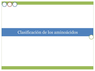 Clasificación de los aminoácidos
 
