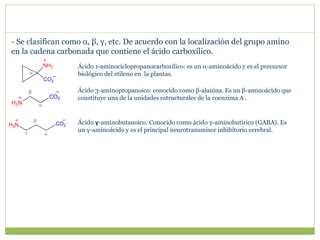 - Se clasifican como α, β, γ, etc. De acuerdo con la localización del grupo amino
en la cadena carbonada que contiene el ácido carboxílico.
CO2
NH3

CO2
H3N 



CO2
H3N

Ácido 1-aminociclopropanocarboxílico: es un α-aminoácido y es el precursor
biológico del etileno en la plantas.
Ácido 3-aminopropanoico: conocido como β-alanina. Es un β-aminoácido que
constituye una de la unidades estructurales de la coenzima A .
Ácido γ-aminobutanoico: Conocido como ácido γ-aminobutírico (GABA). Es
un γ-aminoácido y es el principal neurotransmisor inhibitorio cerebral.
 