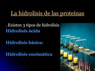La hidrolisis de las proteínas <ul><li>. Existen 3 tipos de hidrolisis </li></ul><ul><li>Hidrolisis ácida   </li></ul><ul>...