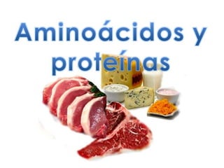 Aminoacidosy proteinas ia