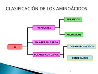 ALIFÁTICOS


      NO POLARES


                         AROMÁTICOS


     POLARES SIN CARGA

aa                         CON GRUPOS ÁCIDOS


     POLARES CON CARGA
                                CON N BÁSICO




                           11
 