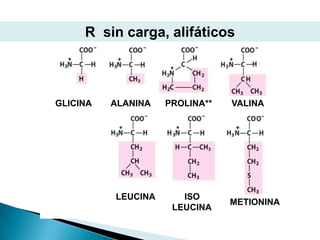 R sin carga, alifáticos



GLICINA   ALANINA   PROLINA**   VALINA




          LEUCINA      ISO
                                METIONINA
                     LEUCINA
 