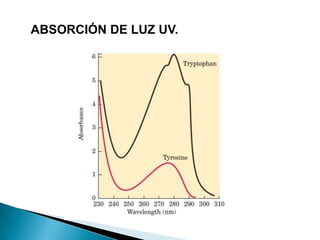 ABSORCIÓN DE LUZ UV.
 