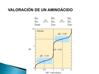 VALORACIÓN DE UN AMINOÁCIDO
 