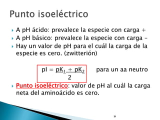    A pH ácido: prevalece la especie con carga +
   A pH básico: prevalece la especie con carga –
   Hay un valor de pH para el cuál la carga de la
    especie es cero. (zwitterión)

             pI = pK1 + pK2      para un aa neutro
                      2
   Punto isoeléctrico: valor de pH al cuál la carga
    neta del aminoácido es cero.


                                      31
 