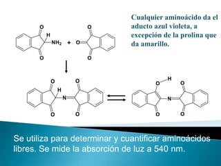 Cualquier aminoácido da el
      O                         O   aducto azul violeta, a
          H                         excepción de la prolina que
              NH2         + O       da amarillo.
      O                         O



                           O                   H
              O                            O       O
                  H
                      N                        N


              O            O               O       O



Se utiliza para determinar y cuantificar aminoácidos
libres. Se mide la absorción de luz a 540 nm.
 