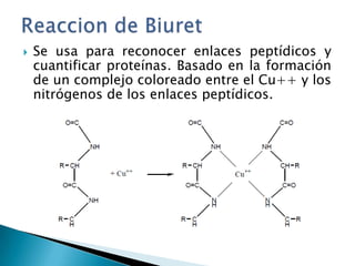   Se usa para reconocer enlaces peptídicos y
    cuantificar proteínas. Basado en la formación
    de un complejo coloreado entre el Cu++ y los
    nitrógenos de los enlaces peptídicos.
 