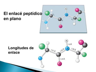 El enlacé peptídico
en plano




  Longitudes de
  enlace
 
