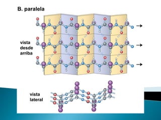 B. paralela




 vista
 desde
 arriba




     vista
     lateral
 