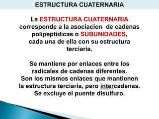 ESTRUCTURA CUATERNARIA

    La ESTRUCTURA CUATERNARIA
corresponde a la asociacion de cadenas
    polipeptídicas o SUBUNIDADES,
   cada una de ella con su estructura
                terciaria.

    Se mantiene por enlaces entre los
     radicales de cadenas diferentes.
 Son los mismos enlaces que mantienen
la estructura terciaria, pero intercadenas.
      Se excluye el puente disulfuro.
 