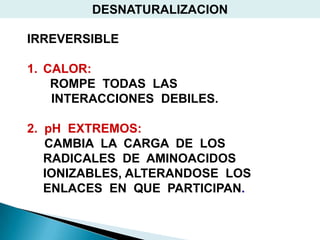 DESNATURALIZACION

IRREVERSIBLE

1. CALOR:
    ROMPE TODAS LAS
    INTERACCIONES DEBILES.

2. pH EXTREMOS:
   CAMBIA LA CARGA DE LOS
   RADICALES DE AMINOACIDOS
   IONIZABLES, ALTERANDOSE LOS
   ENLACES EN QUE PARTICIPAN.
 