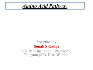 Amino Acid Pathway
Presented by
Sonali S Gadge
P R Patil Institute of Pharmacy,
Talegaon (SP), Dist- Wardha.
 