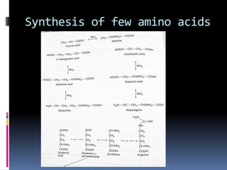 Synthesis of few amino acids
 