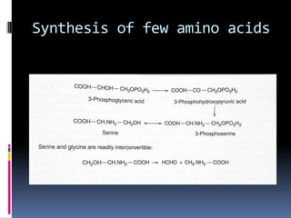 Synthesis of few amino acids
 