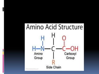 Amino acid pathway upload