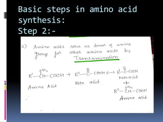 Basic steps in amino acid
synthesis:
Step 2:-
 