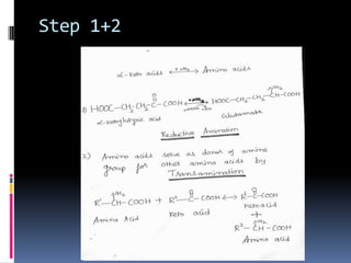 Step 1+2
 