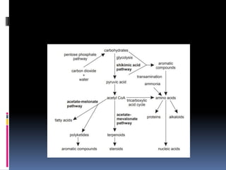 Amino acid pathway upload