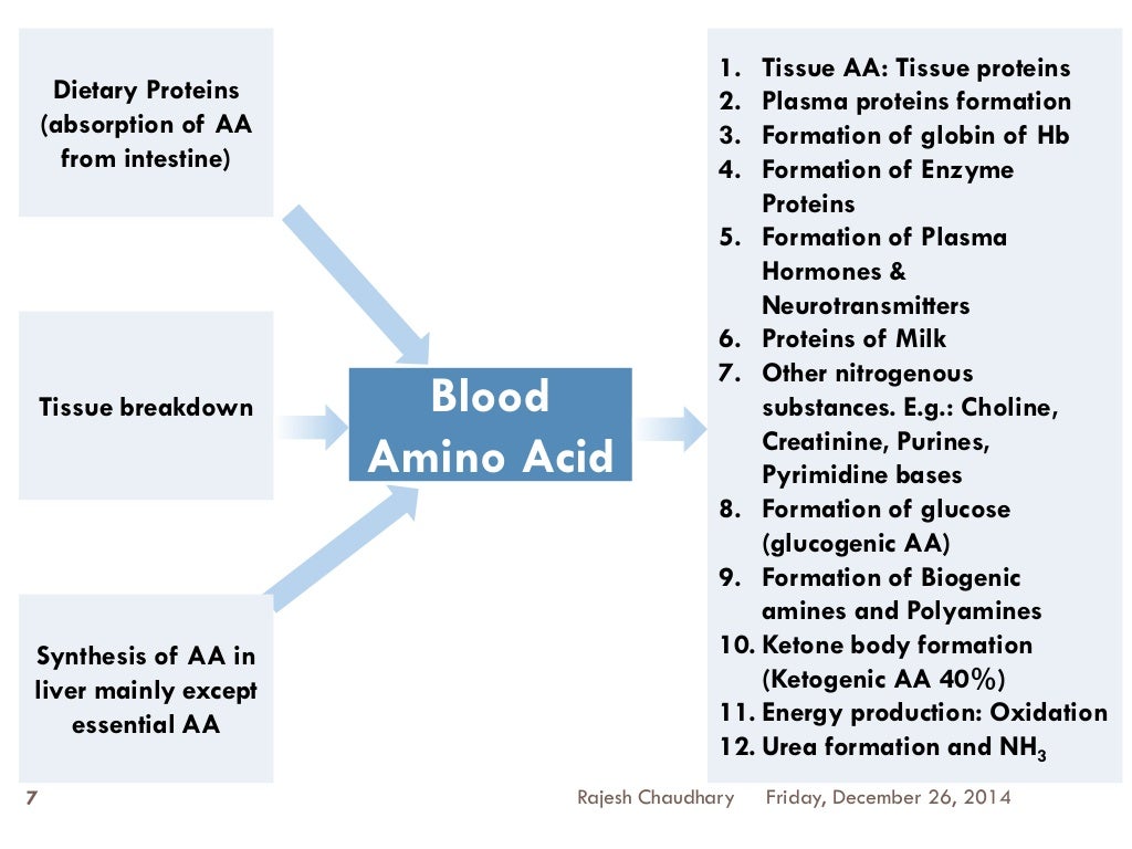 Amino acid pool