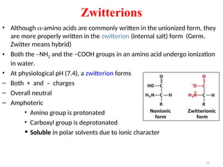 • Although -amino acids are commonly written in the unionized form, they
are more properly written in the zwitterion (internal salt) form (Germ.
Zwitter means hybrid)
• Both the –NH2 and the –COOH groups in an amino acid undergo ionization
in water.
• At physiological pH (7.4), a zwitterion forms
– Both + and – charges
– Overall neutral
– Amphoteric
• Amino group is protonated
• Carboxyl group is deprotonated
• Soluble in polar solvents due to ionic character
Zwitterions
11
 