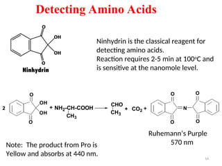 Detecting Amino Acids
Ninhydrin is the classical reagent for
detecting amino acids.
Reaction requires 2-5 min at 100o
C and
is sensitive at the nanomole level.
Ruhemann’s Purple
570 nm
OH
O
O
OH
NH2-CH-COOH
CH3
+
O
O
O
O
N
CO2
CH3
CHO
+ +
2
Note: The product from Pro is
Yellow and absorbs at 440 nm. 14
 