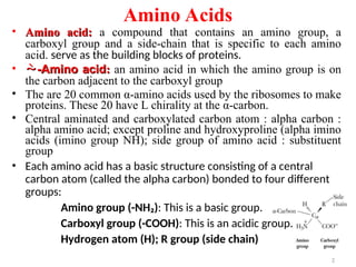 Amino Acids
2
• Amino acid:
Amino acid: a compound that contains an amino group, a
carboxyl group and a side-chain that is specific to each amino
acid. serve as the building blocks of proteins.
• 
-Amino acid
-Amino acid:
: an amino acid in which the amino group is on
the carbon adjacent to the carboxyl group
• The are 20 common α-amino acids used by the ribosomes to make
proteins. These 20 have L chirality at the α-carbon.
• Central aminated and carboxylated carbon atom : alpha carbon :
alpha amino acid; except proline and hydroxyproline (alpha imino
acids (imino group NH); side group of amino acid : substituent
group
• Each amino acid has a basic structure consisting of a central
carbon atom (called the alpha carbon) bonded to four different
groups:
Amino group (-NH₂): This is a basic group.
Carboxyl group (-COOH): This is an acidic group.
Hydrogen atom (H); R group (side chain)
 