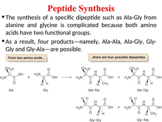 20
•The synthesis of a specific dipeptide such as Ala-Gly from
alanine and glycine is complicated because both amino
acids have two functional groups.
•As a result, four products—namely, Ala-Ala, Ala-Gly, Gly-
Gly and Gly-Ala—are possible.
Peptide Synthesis
 
