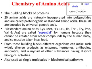 • The building blocks of proteins
• 20 amino acids are naturally incorporated into polypeptides
and are called proteinogenic or standard amino acids. These 20
are encoded by universal genetic code.
• 10 standard amino acids (Lys, Met, His, Leu, Ile, Thr, , Try, Phe,
Val & Arg) are called "essential" for humans because they
cannot be created from other compounds by the human body,
and so must be taken in as food.
• From these building blocks different organisms can make such
widely diverse products as enzymes, hormones, antibodies,
antibiotics, and a myriad of other substances having distinct
biological activities.
• Also used as single molecules in biochemical pathways
Chemistry of Amino Acids R side
chain
|
H2N— C —COOH
|
H
3
 
