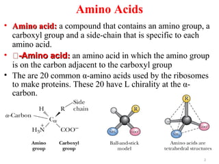 Structure Of Amino Acids Ppt