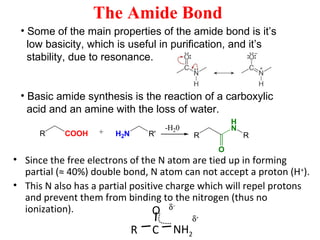 Amino acid ppt | PPT