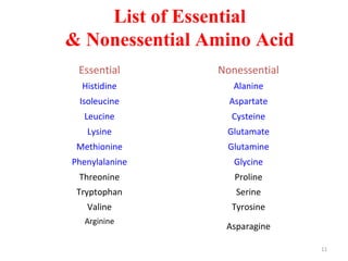 Amino Acid Ppt
