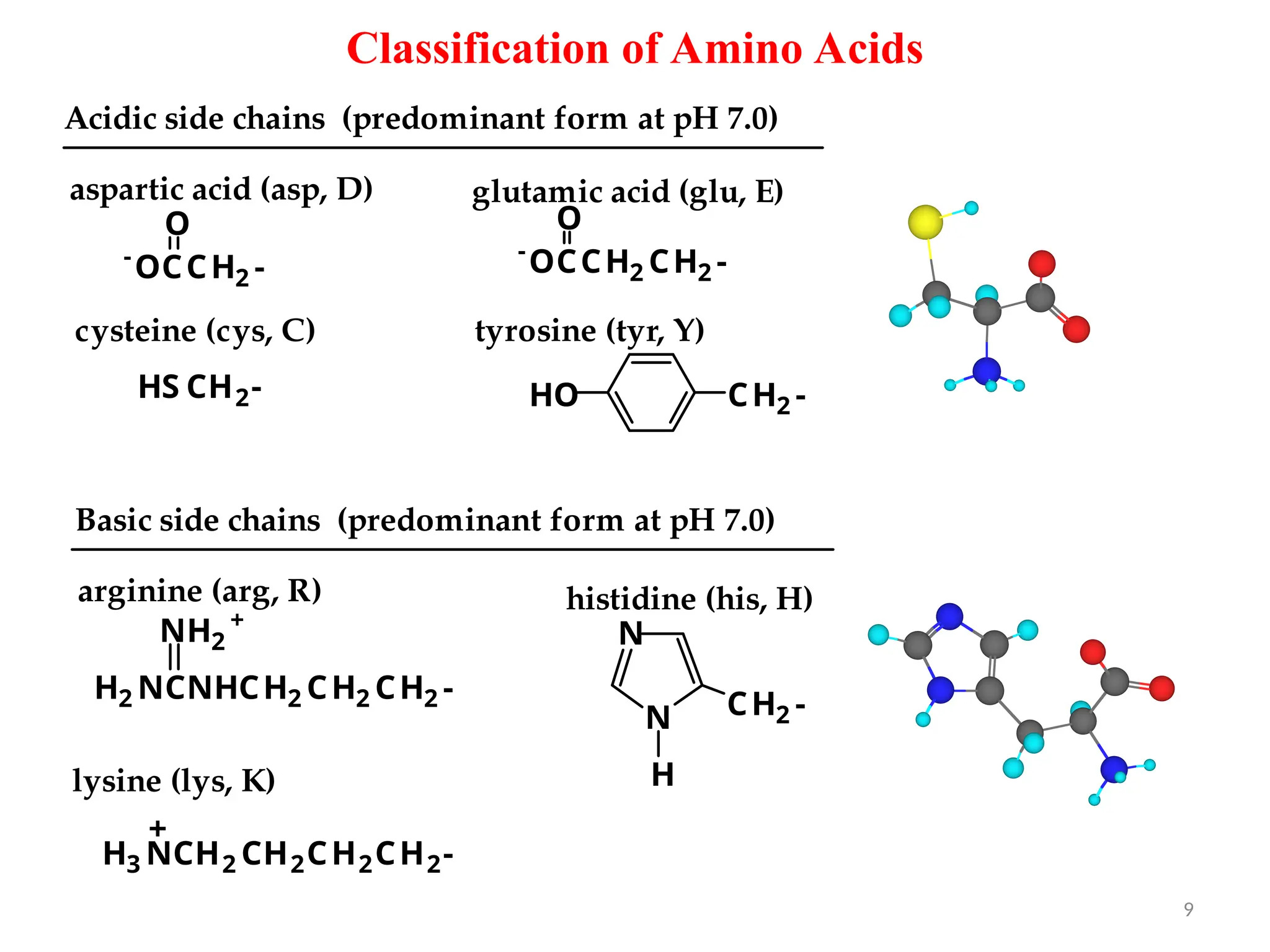aminoacidppt-170113172447 biochemistry[1].ppt