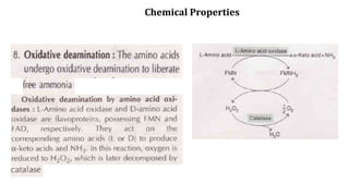 Chemical Properties
 