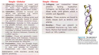 Simple - Globular Simple - Fibrous
 