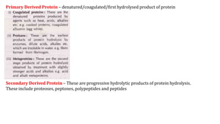 Primary Derived Protein – denatured/coagulated/first hydrolysed product of protein
Secondary Derived Protein – These are progressive hydrolytic products of protein hydrolysis.
These include proteoses, peptones, polypeptides and peptides
 