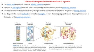 Four levels of organization in the structure of a protein
 The amino acid sequence is known as primary structure of protein.
 Stretches of polypeptide chain that form α helices and β sheets constitute protein’s secondary structure.
 Full three-dimensional organization of a polypeptide chain is sometimes referred to as the protein’s tertiary structure,
 and if a particular protein molecule is formed as a complex of more than one polypeptide chain, the complete structure is
designated as the quaternary structure.
 