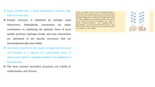  Every protein has a three-dimensional structure that
reflects its function.
 Protein structure is stabilized by multiple weak
interactions. Hydrophobic interactions are major
contributors to stabilizing the globular form of most
soluble proteins; hydrogen bonds and ionic interactions
are optimized in the specific structures that are
thermodynamically most stable.
 Secondary structure is the regular arrangement of amino
acid residues in a segment of a polypeptide chain, in
which each residue is spatially related to its neighbors in
the same way.
 The most common secondary structures are α-helix, β-
conformation, and β-turns.
 