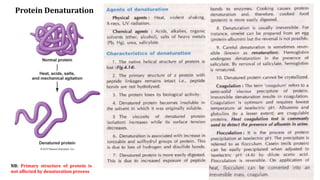 Protein Denaturation
NB: Primary structure of protein is
not affected by denaturation process
 