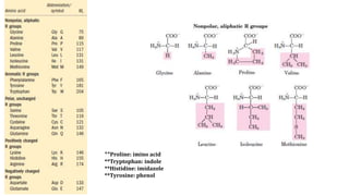 **Proline: imino acid
**Tryptophan: indole
**Histidine: imidazole
**Tyrosine: phenol
 