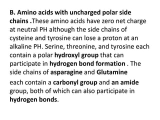 B. Amino acids with uncharged polar side
chains .These amino acids have zero net charge
at neutral PH although the side chains of
cysteine and tyrosine can lose a proton at an
alkaline PH. Serine, threonine, and tyrosine each
contain a polar hydroxyl group that can
participate in hydrogen bond formation . The
side chains of asparagine and Glutamine
each contain a carbonyl group and an amide
group, both of which can also participate in
hydrogen bonds.
 