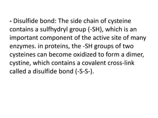 - Disulfide bond: The side chain of cysteine
contains a sulfhydryl group (-SH), which is an
important component of the active site of many
enzymes. in proteins, the -SH groups of two
cysteines can become oxidized to form a dimer,
cystine, which contains a covalent cross-link
called a disulfide bond (-S-S-).
 