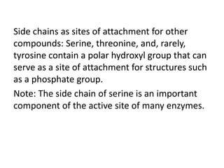 Side chains as sites of attachment for other
compounds: Serine, threonine, and, rarely,
tyrosine contain a polar hydroxyl group that can
serve as a site of attachment for structures such
as a phosphate group.
Note: The side chain of serine is an important
component of the active site of many enzymes.
 