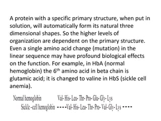 A protein with a specific primary structure, when put in
solution, will automatically form its natural three
dimensional shapes. So the higher levels of
organization are dependent on the primary structure.
Even a single amino acid change (mutation) in the
linear sequence may have profound biological effects
on the function. For example, in HbA (normal
hemoglobin) the 6th amino acid in beta chain is
glutamic acid; it is changed to valine in HbS (sickle cell
anemia).
 