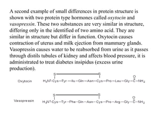 A second example of small differences in protein structure is
shown with two protein type hormones called oxytocin and
vasopressin. These two substances are very similar in structure,
differing only in the identified of two amino acid. They are
similar in structure but differ in function. Oxytocin causes
contraction of uterus and milk ejection from mammary glands.
Vasopressin causes water to be reabsorbed from urine as it passes
through distils tubules of kidney and affects blood pressure, it is
administrated to treat diabetes insipidus (excess urine
production).
 